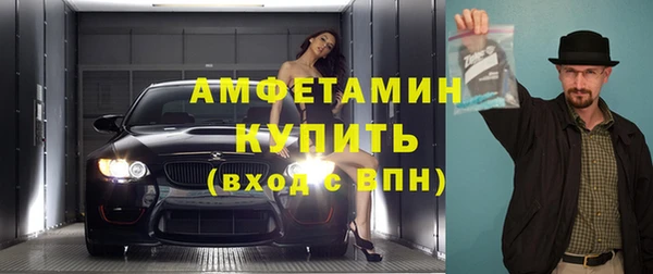 шишки Пестово