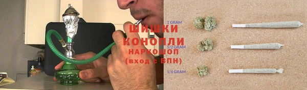 шишки Пестово