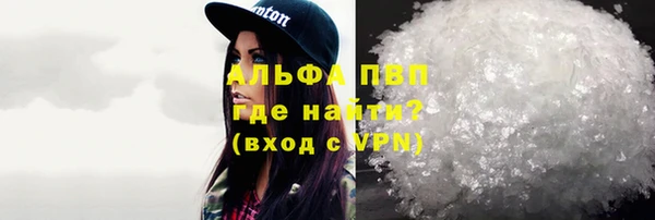 шишки Пестово