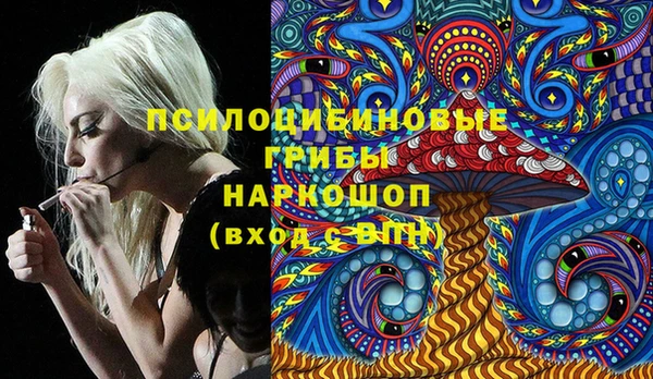 герыч Пересвет